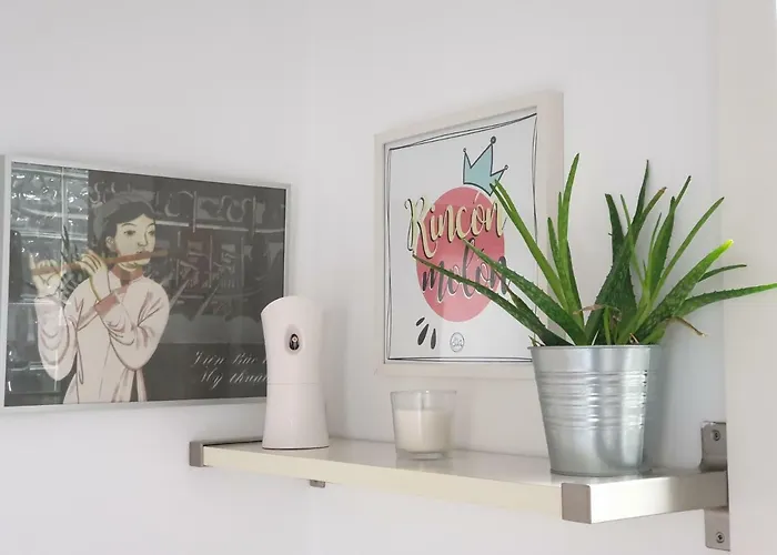 Piso Centro Con Garaje Oviedo